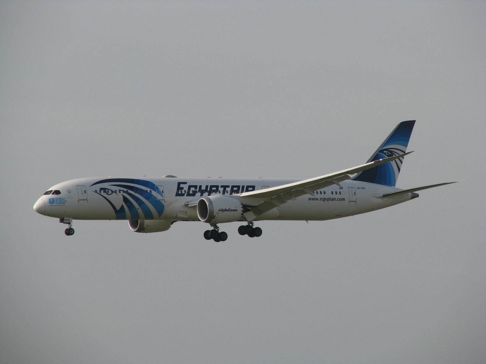 EgyptAir Boeing 787-9 SU-GEV in flight with its landing gear down against a grey sky.
